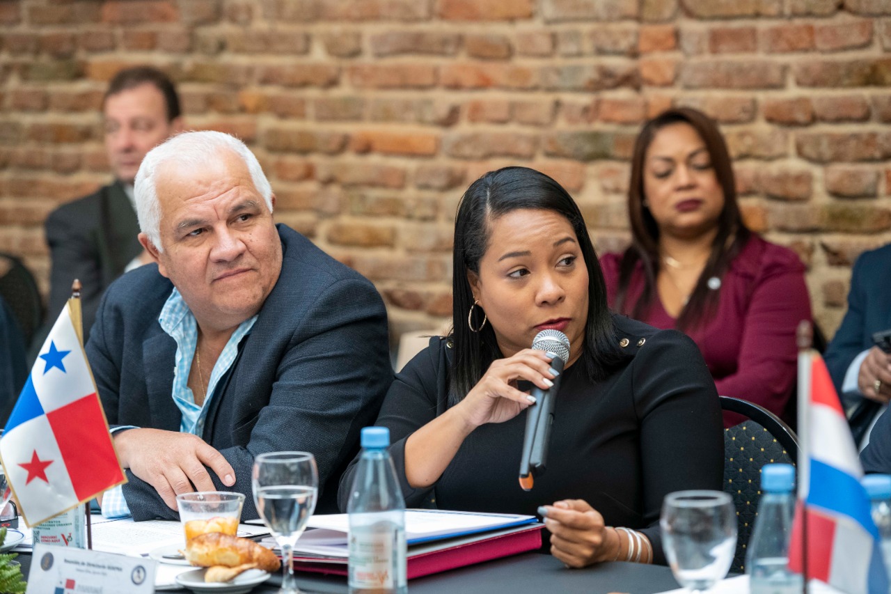 Reunión de Directorio de ASAPRA 2022