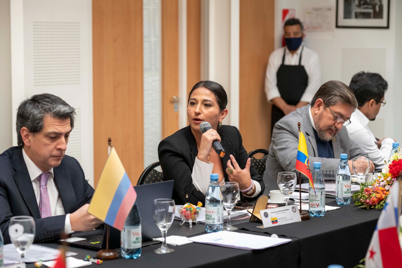 Reunión de Directorio de ASAPRA 2022