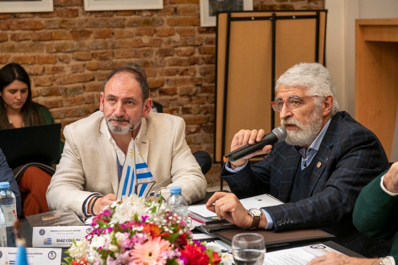 Reunión de Directorio de ASAPRA 2022