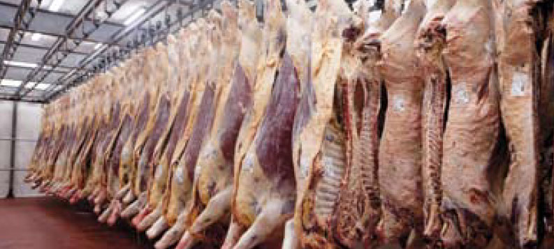 EL SENASA SIMPLIFICA TR�MITES